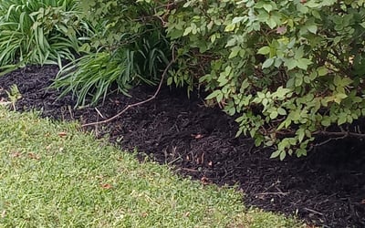 Photo of Ron S.'s yard after getting landscaping in Berryville, VA
