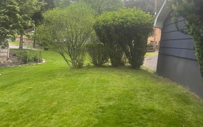 Photo of Susan S.'s yard after getting landscaping in Suffern, NY