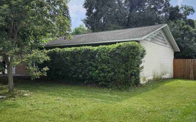 Photo of Sean B.'s yard after getting landscaping in Sydney, FL