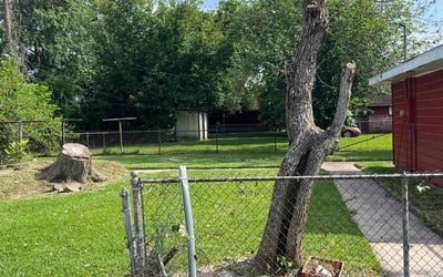 Photo of Susanne S.'s yard after getting tree care in South Houston, TX