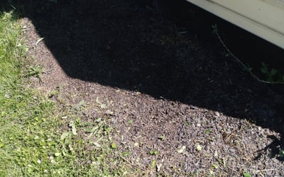 Photo of Barbara H.'s yard after getting tree care in Union, KY