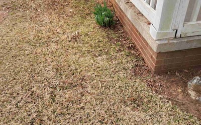 Photo of James B.'s yard after getting landscaping in Timberlake, NC