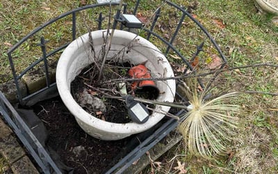 Photo of Sharon A.'s yard after getting landscaping in South Weymouth, MA
