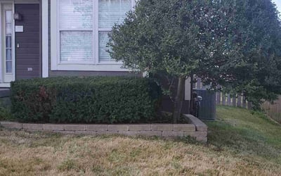 Photo of Stephanie S.'s yard after getting landscaping in Bonner Springs, KS