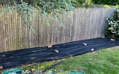 Photo of Mark M.'s yard after getting landscaping in Rocky Hill, CT