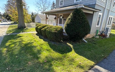 Photo of Chris B.'s yard after getting landscaping in Broomall, PA