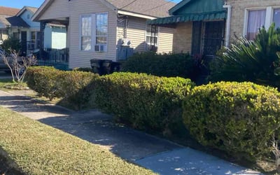 Photo of Jeffrey W.'s yard after getting landscaping in Saint Rose, LA