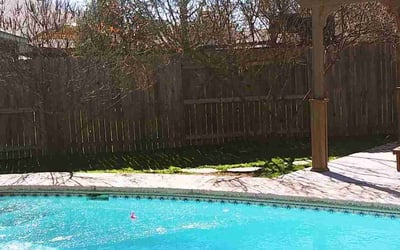 Photo of Cheryl H.'s yard after getting tree care in Canyon Lake, TX