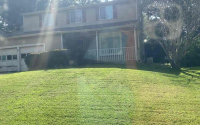 Photo of Mark F.'s yard after getting tree care in Canton, GA
