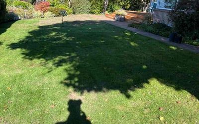 Photo of John A.'s yard after getting landscaping in Roy, WA
