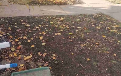 Photo of Josh W.'s yard after getting landscaping in Hamel, MN