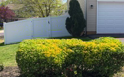 Photo of Romaine K.'s yard after getting landscaping in Finksburg, MD