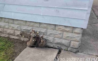 Photo of Doris C.'s yard after getting landscaping in Hamburg, NY