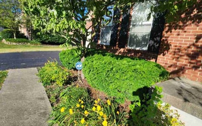 Photo of Matthew J.'s yard after getting tree care in Ft Mitchell, KY