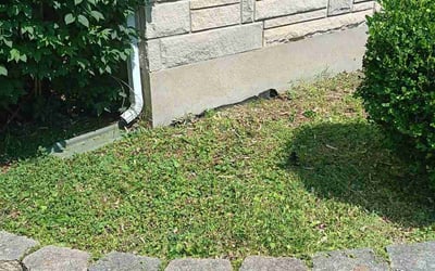 Photo of Mary M.'s yard after getting landscaping in Fairdale, KY