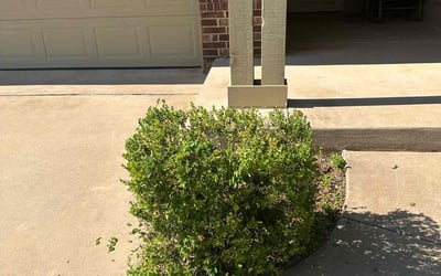 Photo of Richard S.'s yard after getting landscaping in Guthrie, OK