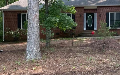 Photo of Nadege L.'s yard after getting tree care in Roswell, GA