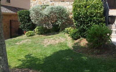 Photo of Shannon B.'s yard after getting landscaping in Comfort, TX