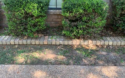 Photo of Pamela M.'s yard after getting landscaping in Lexington, OK