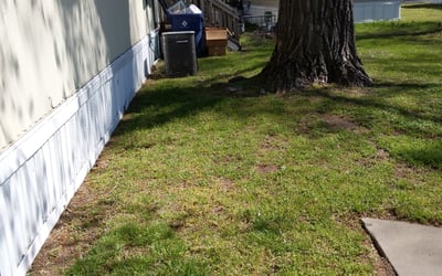 Photo of Sarah B.'s yard after getting landscaping in Newton, KS