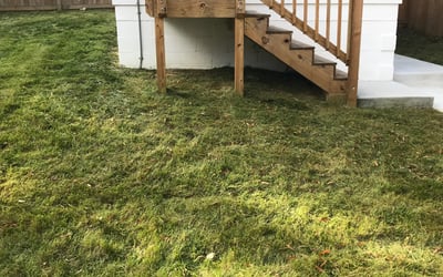 Photo of Aisha M.'s yard after getting landscaping in Andrews Air Force Base, MD