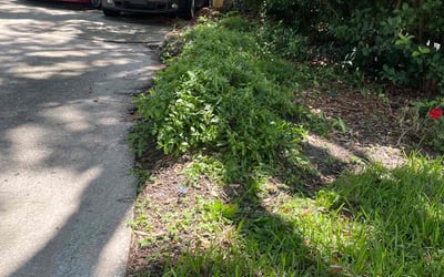 Photo of Raj K.'s yard after getting landscaping in Nichols, FL