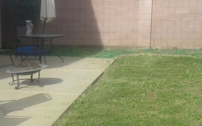 Photo of Lori A.'s yard after getting landscaping in Cave Creek, AZ
