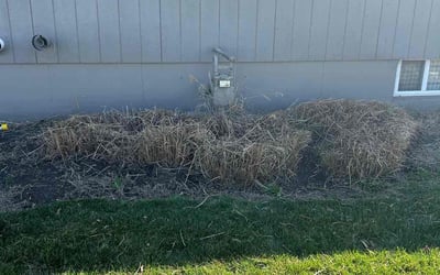 Photo of Steve D.'s yard after getting lawn care in Gardner, KS