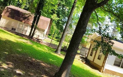 Photo of Greg B.'s yard after getting landscaping in Tucker, GA
