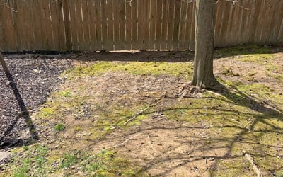 Photo of Jennifer W.'s yard after getting landscaping in Galena, OH