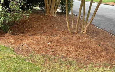 Photo of Matt B.'s yard after getting landscaping in Travelers Rest, SC