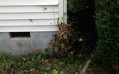Photo of Jazmin S.'s yard after getting landscaping in Hanover, VA