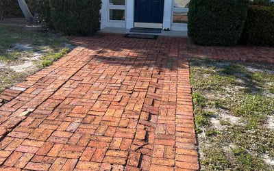 Photo of Ben F.'s yard after getting tree care in Nokomis, FL