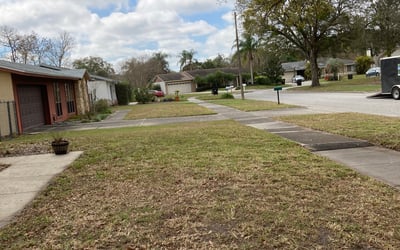 Photo of Andrea S.'s yard after getting landscaping in Intercession City, FL