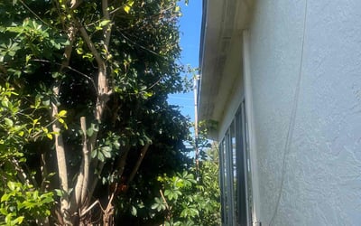 Photo of Julia L.'s yard after getting landscaping in Lake Worth, FL