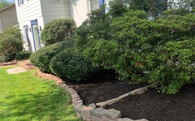 Photo of Thomas D.'s yard after getting landscaping in Dunn Loring, VA