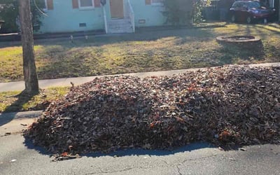 Photo of Margaret M.'s yard after getting landscaping in Granite Quarry, NC