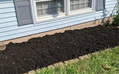 Photo of Jamie N.'s yard after getting landscaping in Guilford, CT
