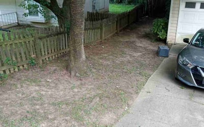 Photo of Maria M.'s yard after getting landscaping in Williamson, GA