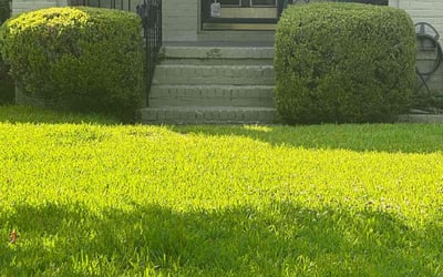 Photo of LaVonne M.'s yard after getting landscaping in Charleston, SC