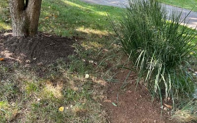 Photo of Sam S.'s yard after getting landscaping in Rixeyville, VA