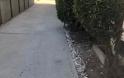 Photo of Monique A.'s yard after getting tree care in Los Angeles, CA