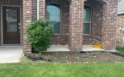 Photo of Jason P.'s yard after getting landscaping in Haslet, TX