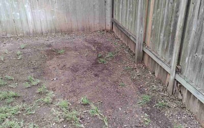 Photo of Renee G.'s yard after getting landscaping in Bastrop, TX