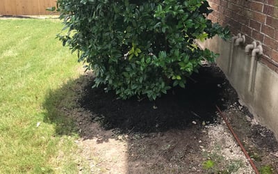 Photo of Emery M.'s yard after getting tree care in Lockhart, TX