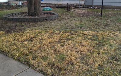Photo of Christine B.'s yard after getting landscaping in Jordan, MN