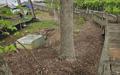 Photo of Julie R.'s yard after getting landscaping in Fort Mill, SC