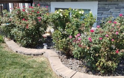 Photo of James R.'s yard after getting tree care in Platte City, MO