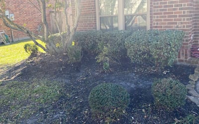 Photo of Jacklin S.'s yard after getting landscaping in High Island, TX