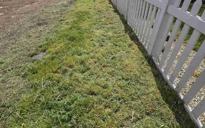 Photo of Carol C.'s yard after getting landscaping in Kuna, ID